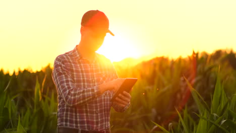 Farmer-man-read-or-analysis-a-report-in-tablet-computer-on-a-agriculture-field-with-vintage-tone-on-a-sunlightagriculture-concept.